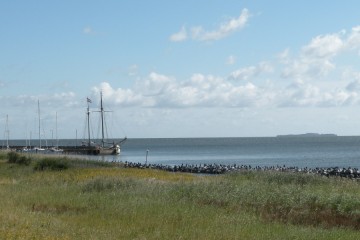 Blick auf die Greifswalder Oie